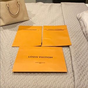 Louis Vuitton bag and garment bags